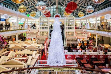 Consumer Goods & Retail